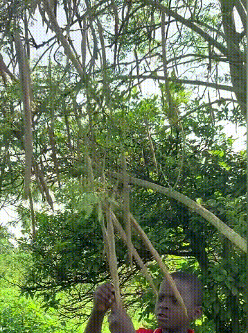 1691900804387268.gif