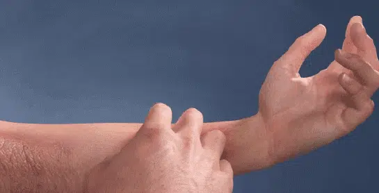 1781930315988624.webp