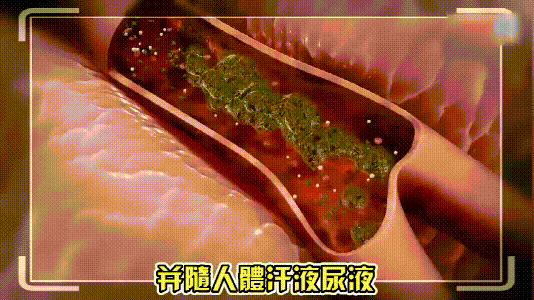 1782011144604927.gif