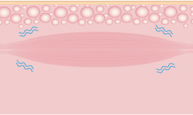 1782011146480807.gif