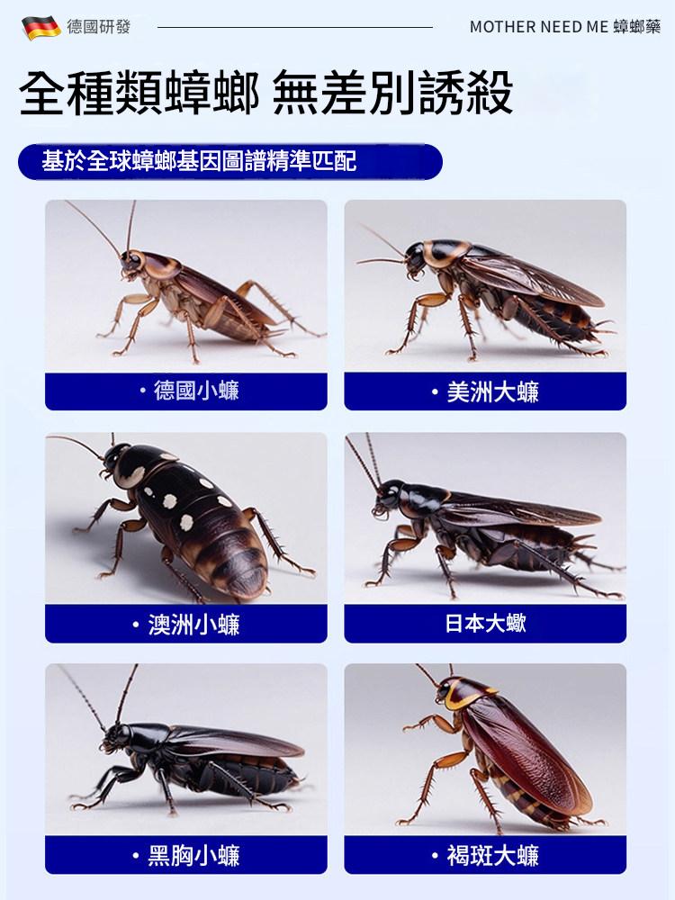 蟑螂藥家用正品非無毒第全窩強效端一名飯店蟲卵雙殺蟲劑滅除殺壑 蟑螂藥家用正品非無毒第全窩強效端一名飯店蟲卵雙殺蟲劑滅除殺壑